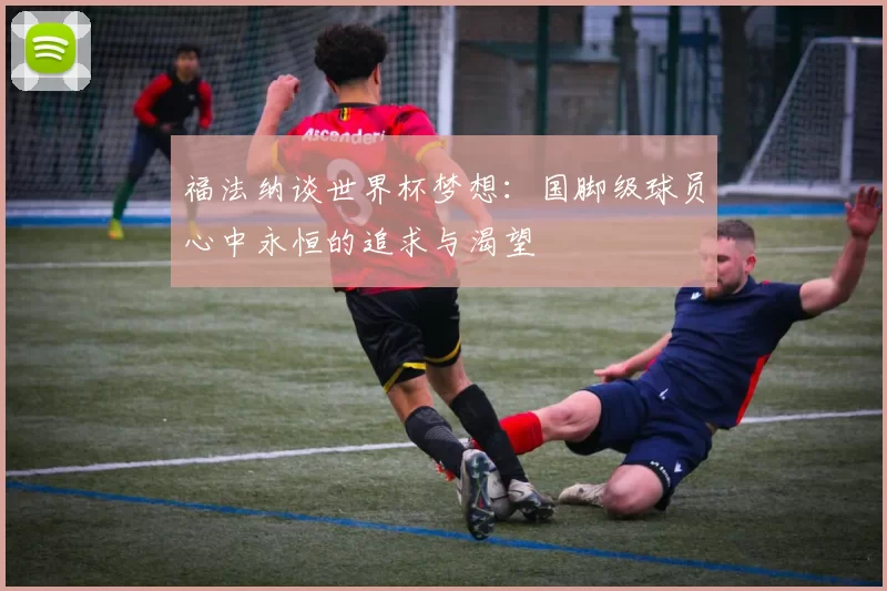 福法纳谈世界杯梦想：国脚级球员心中永恒的追求与渴望