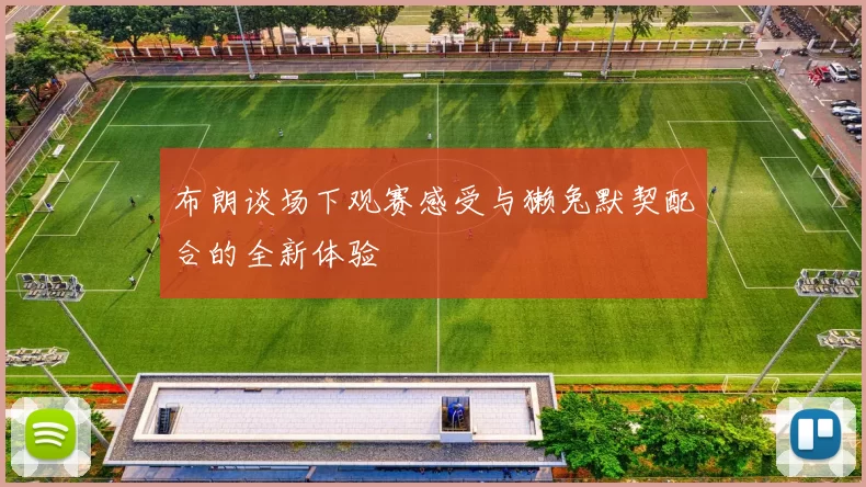 布朗谈场下观赛感受与獭兔默契配合的全新体验