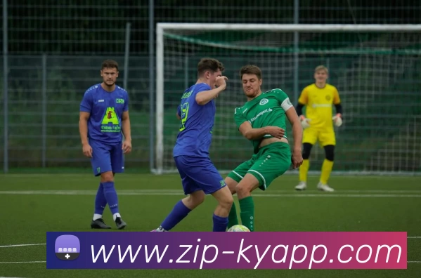 App Interface Preview